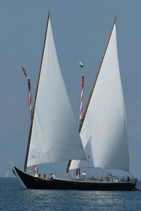 Regate Vieux Bateaux - 192 - 2008